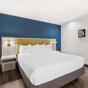 Suite mit Kingsize-Bett