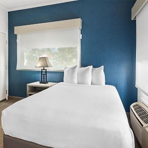 Chambre Petite Lit King-Size